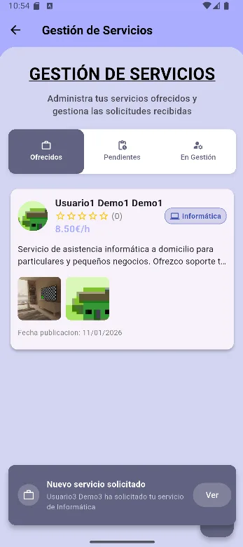 Gestión de servicios ofrecidos por el profesional